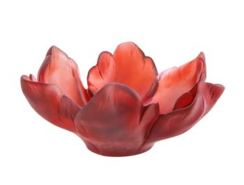 Red bowl tulipe - Daum